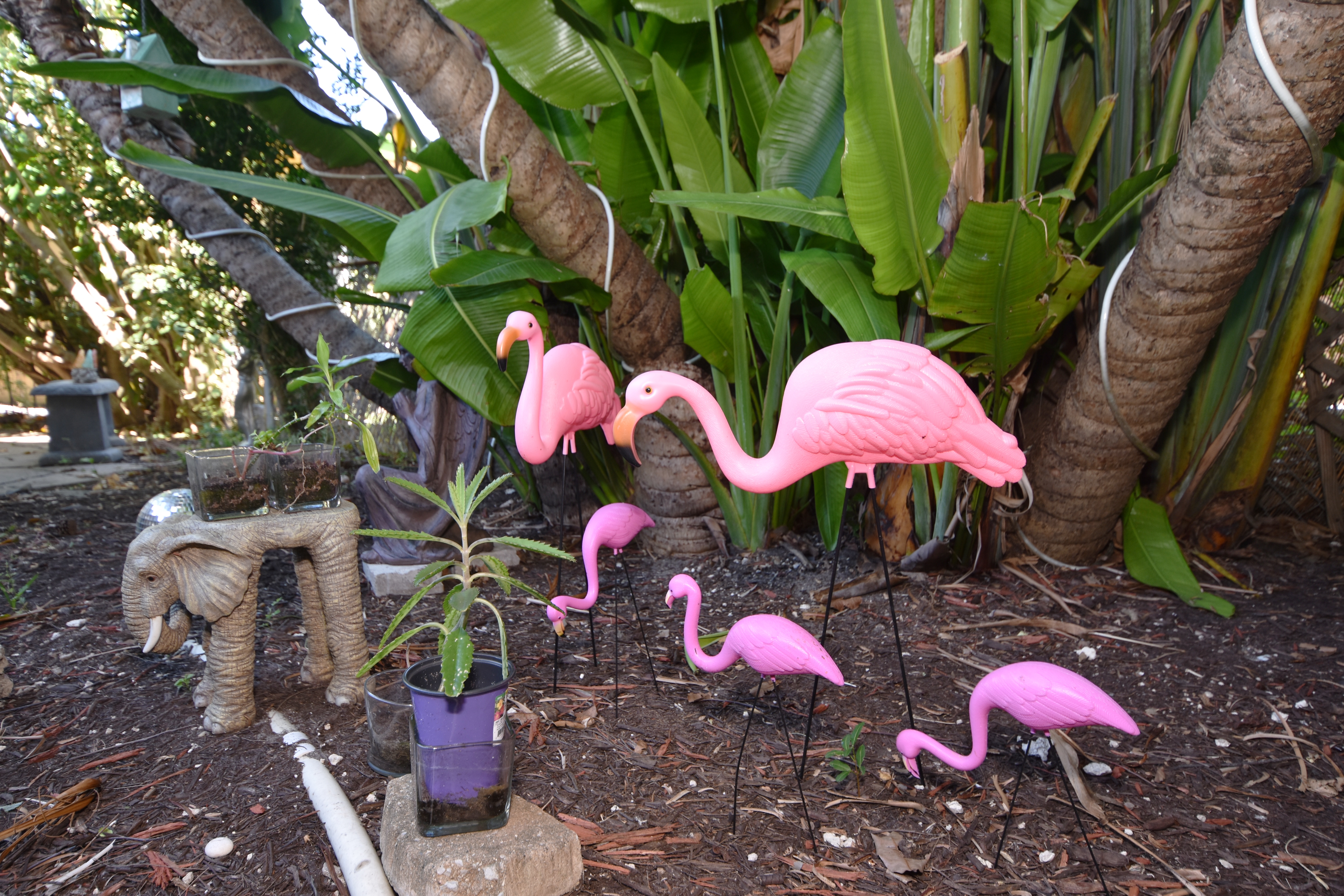 19bird-sanctuary2