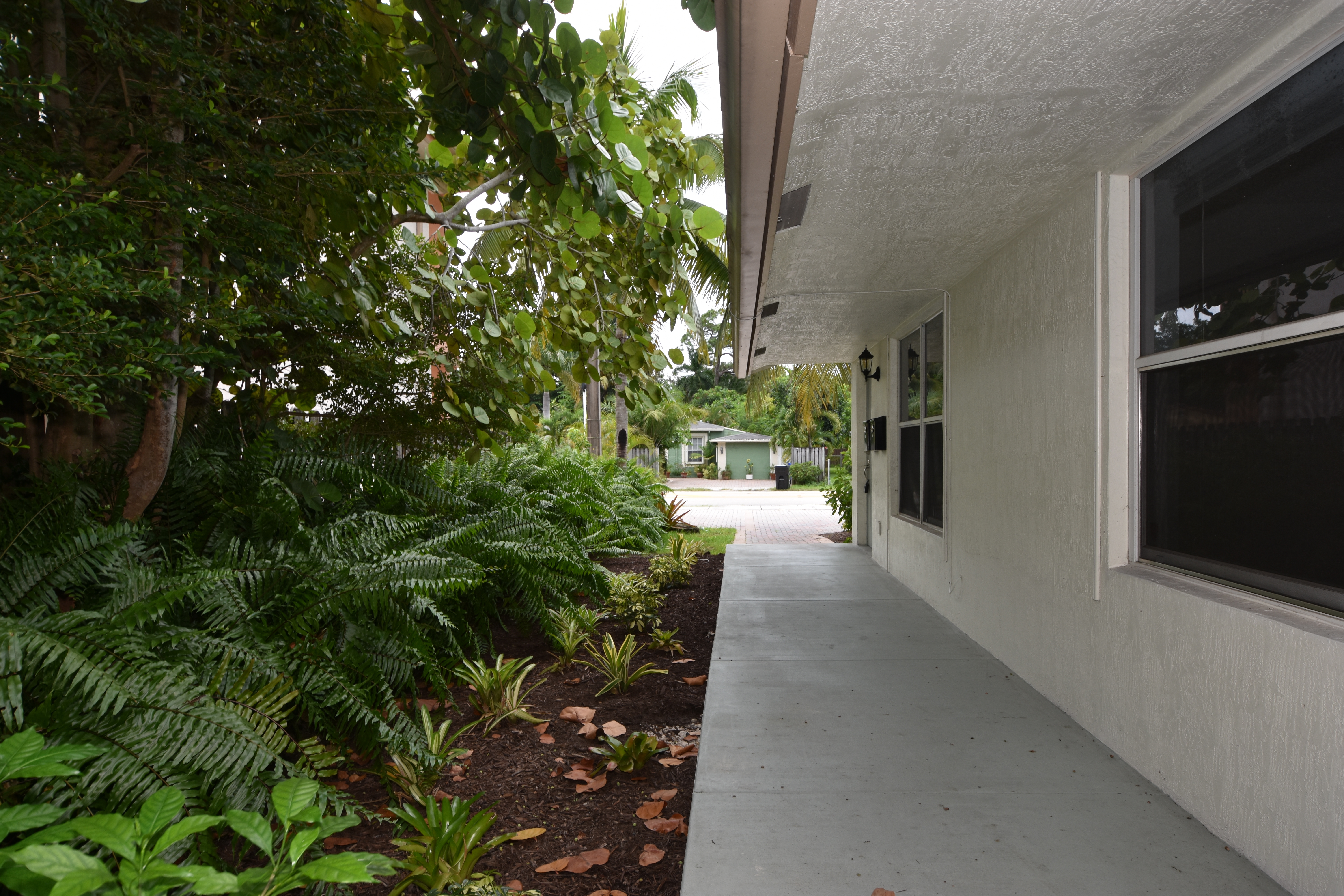 3 front walkway.jpg