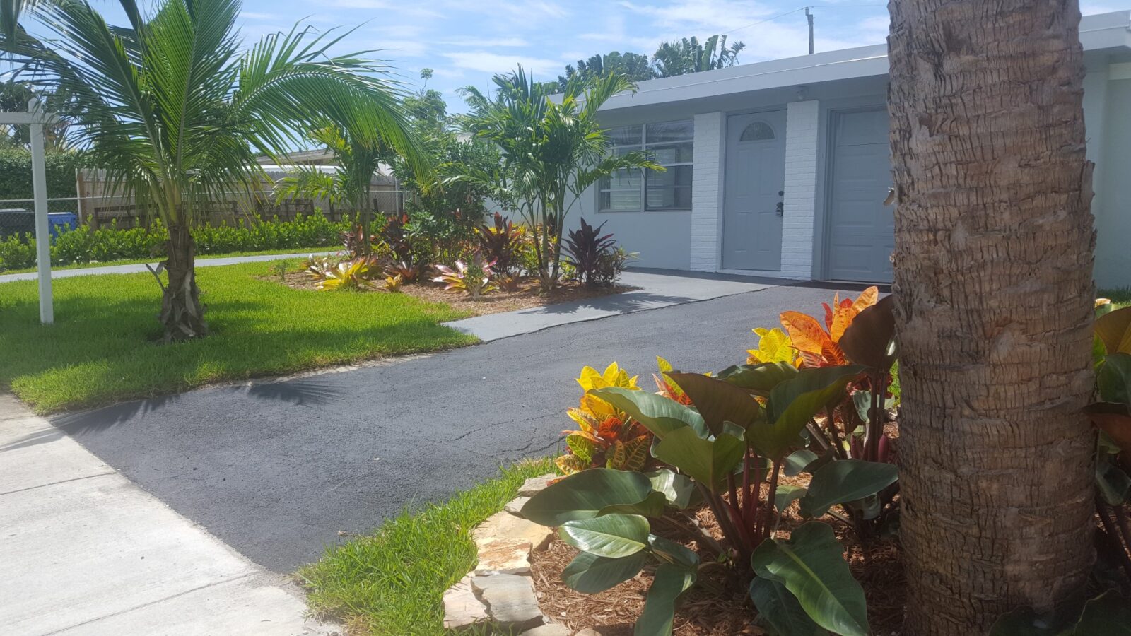 Driveway and garden with tropical plants in front of a modern house.