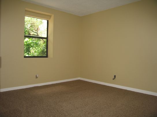 Empty beige room with carpet and a window showing greenery outside.