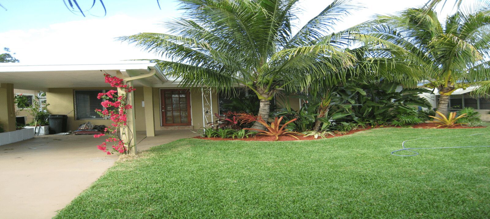 A lush green lawn with a palm tree and a cozy house in the background.