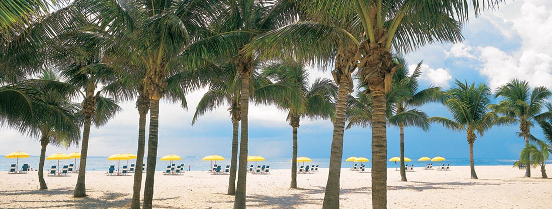 Palm trees on a beach with colorful umbrellas and lounge chairs.